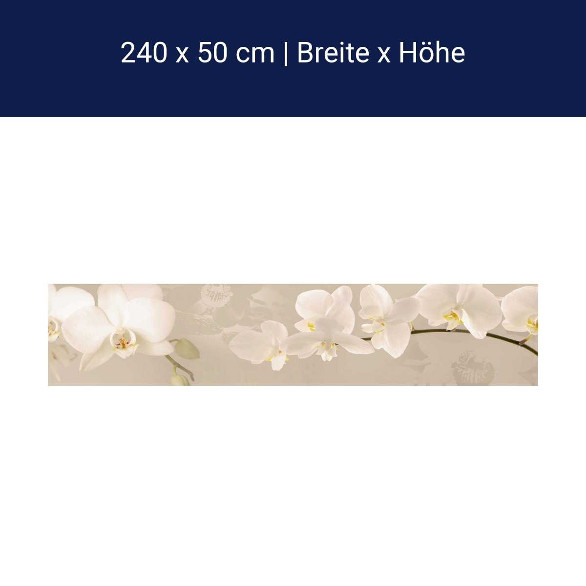 Küchenrückwand Orchidee Zweig Hell Hintergrund Weiß M1226