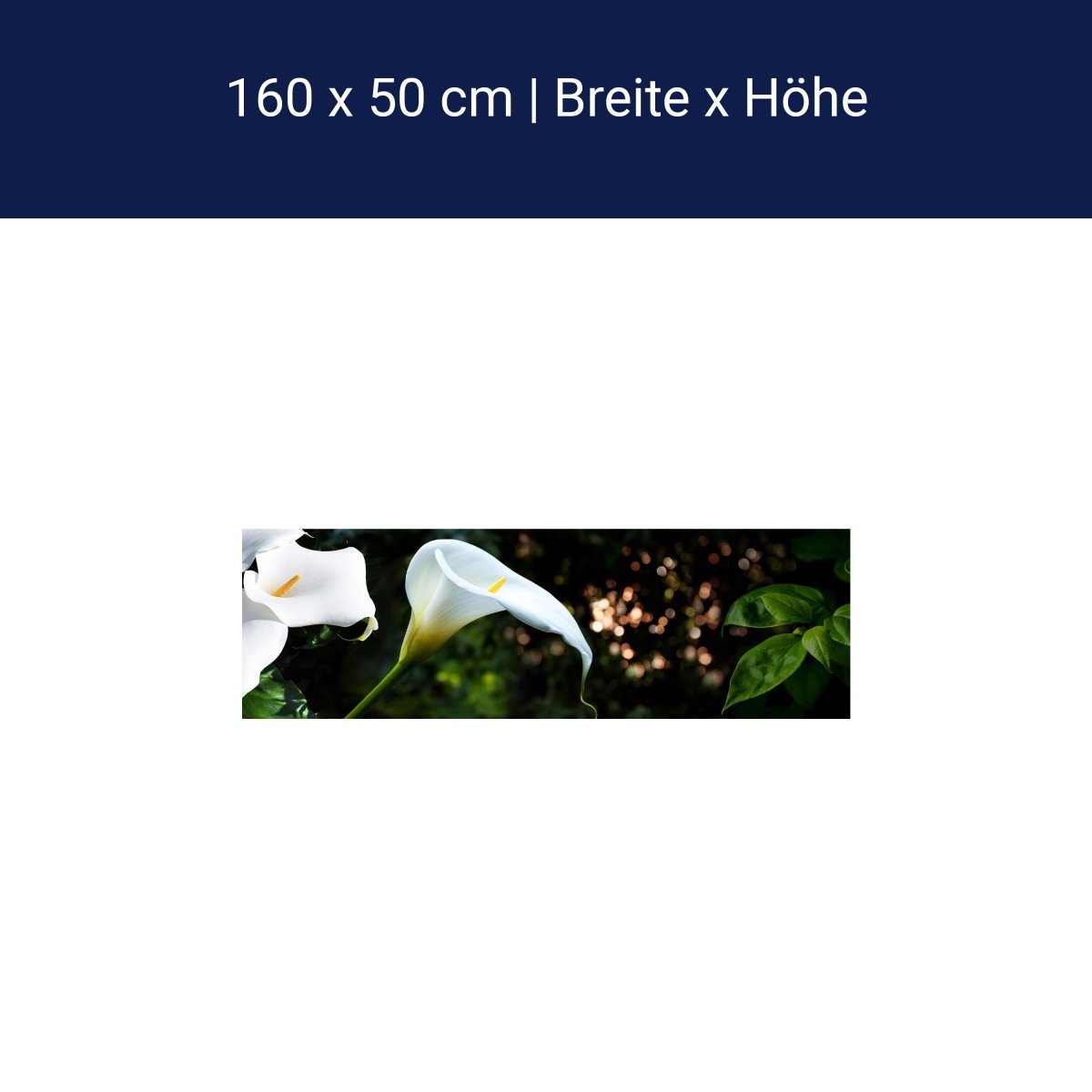 Küchenrückwand Calla Weiß grün Laub Wald Urwald Lotus M1239 Küchenrückwand Calla Weiß grün Laub Wald Urwald Lotus M1239