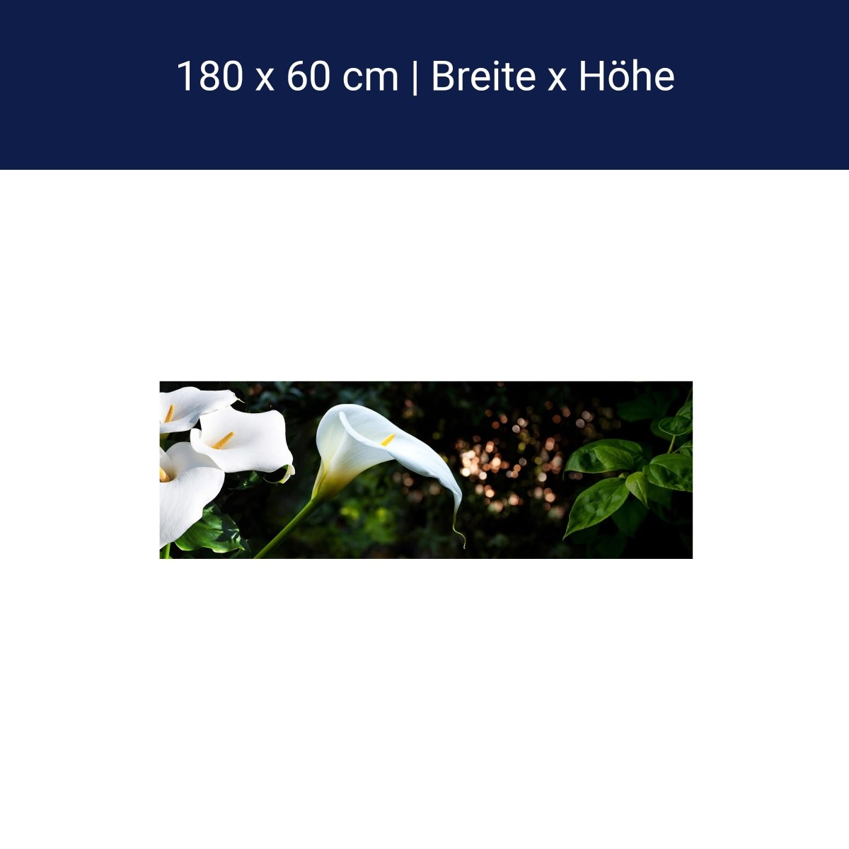 Küchenrückwand Calla Weiß grün Laub Wald Urwald Lotus M1239 Küchenrückwand Calla Weiß grün Laub Wald Urwald Lotus M1239