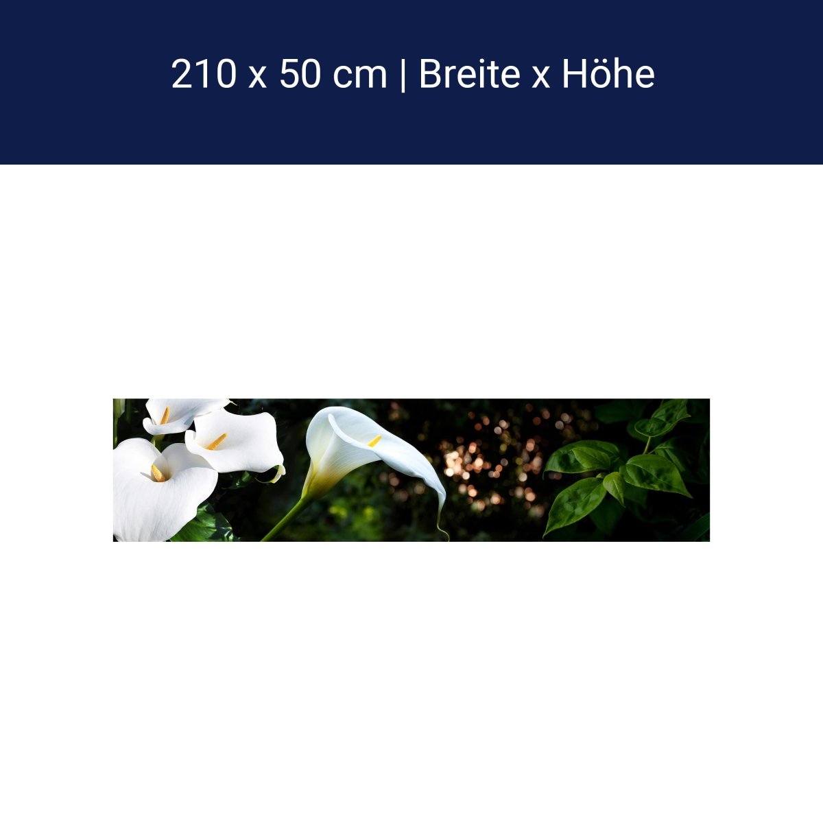 Küchenrückwand Calla Weiß grün Laub Wald Urwald Lotus M1239 Küchenrückwand Calla Weiß grün Laub Wald Urwald Lotus M1239