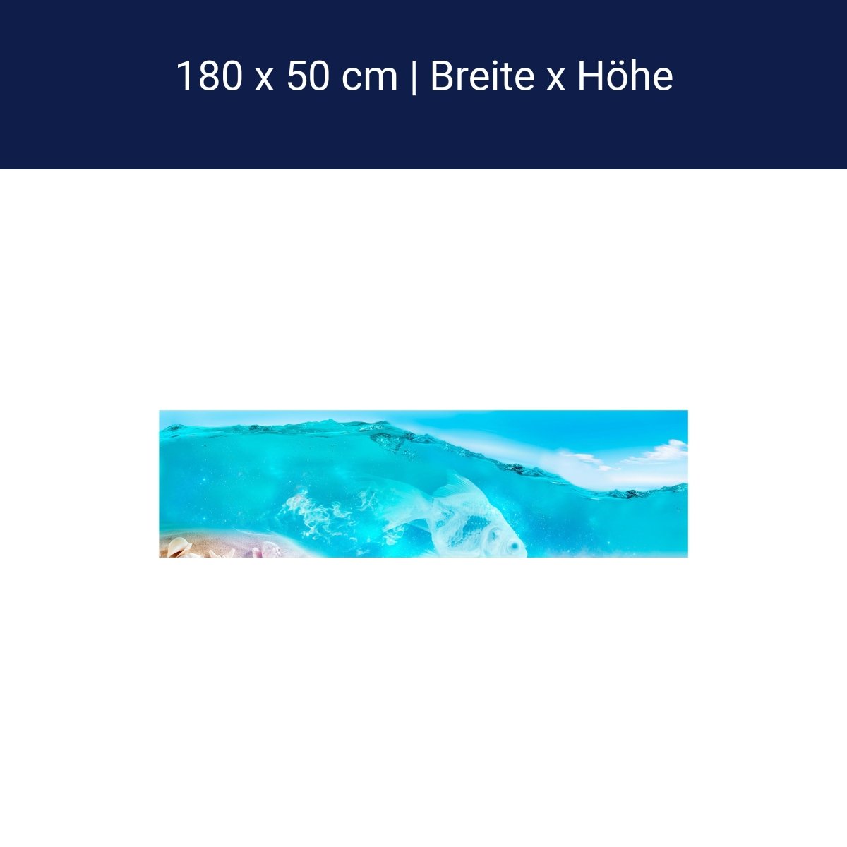 Küchenrückwand Hellblau See Wasser Flaschenpost Muschel M1249 Küchenrückwand Hellblau See Wasser Flaschenpost Muschel M1249