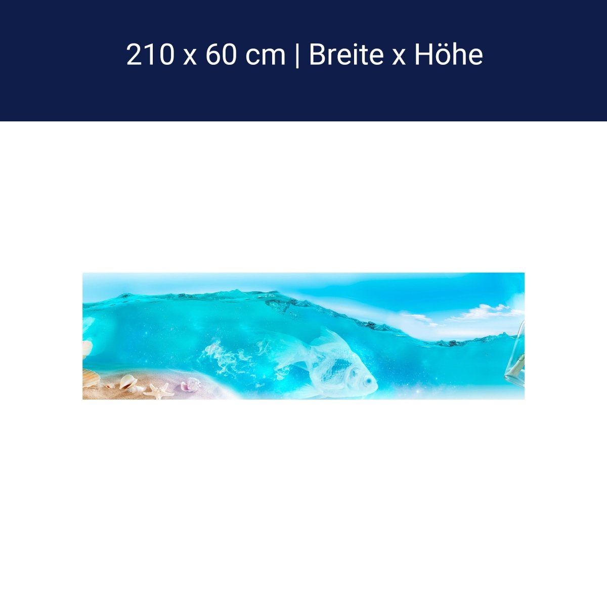 Küchenrückwand Hellblau See Wasser Flaschenpost Muschel M1249 Küchenrückwand Hellblau See Wasser Flaschenpost Muschel M1249