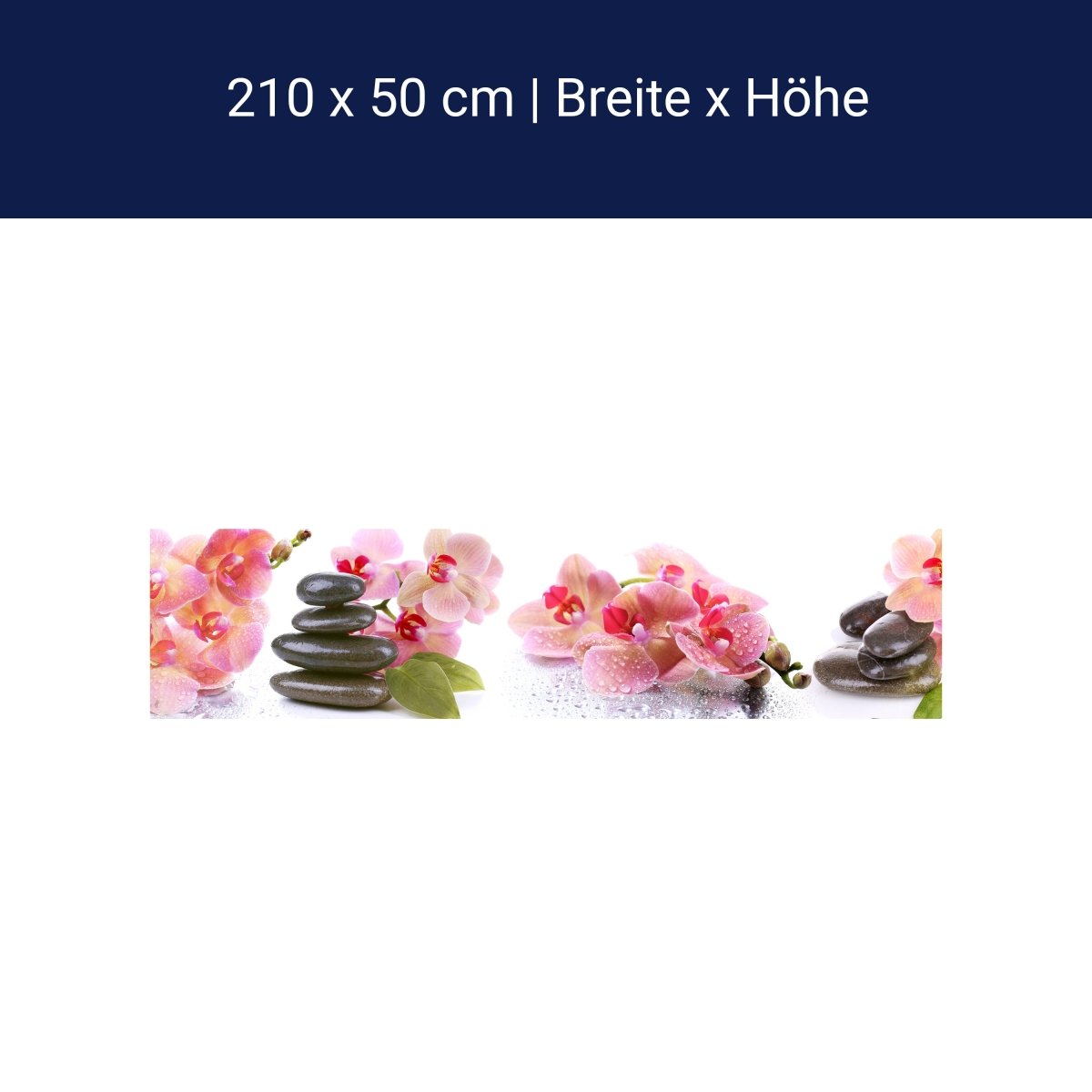 Küchenrückwand Orchidee Blätter Steine Wasser M1280