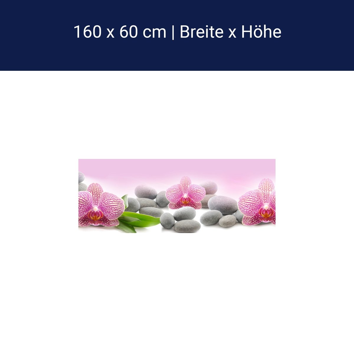 Küchenrückwand Orchidee Blätter Steine Rosa M1291 Küchenrückwand Orchidee Blätter Steine Rosa M1291