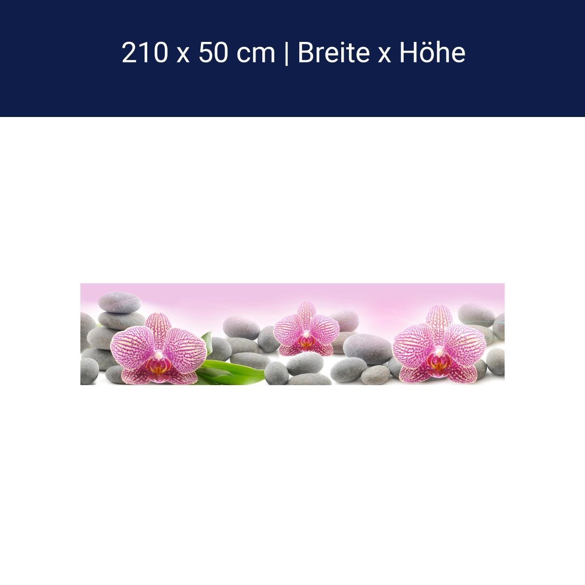 Küchenrückwand Orchidee Blätter Steine Rosa M1291 Küchenrückwand Orchidee Blätter Steine Rosa M1291