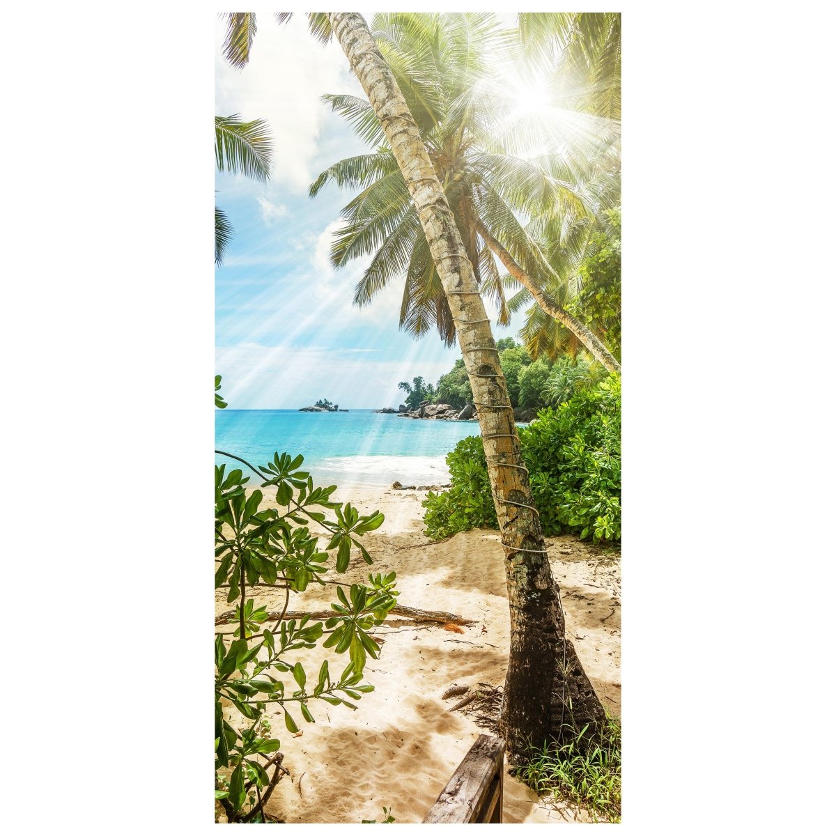 Türtapete Palme am Strand, Meer, Sonne, Insel M1349 - Bild 2