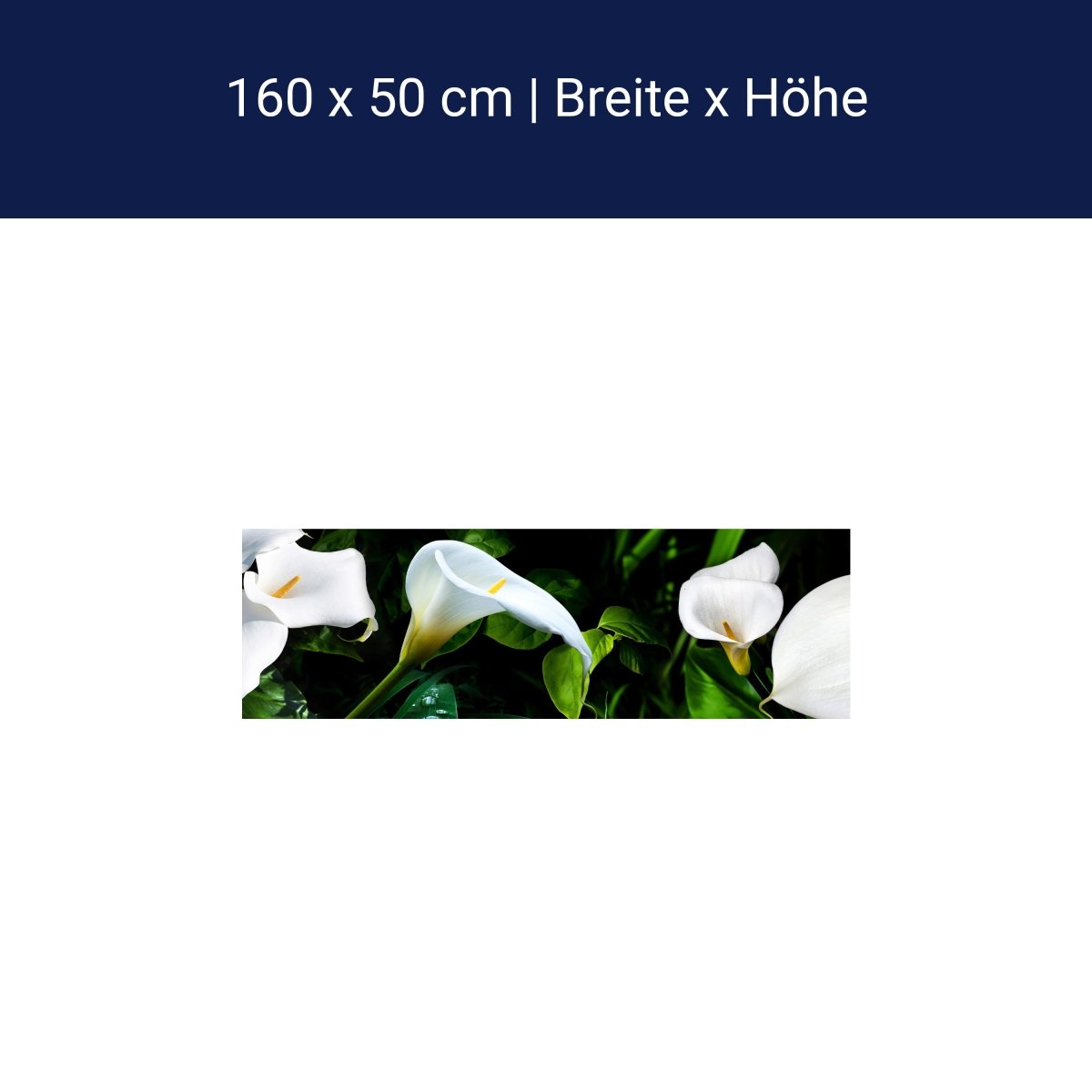 Küchenrückwand calla bartfaden weiß blätter stiel M1381