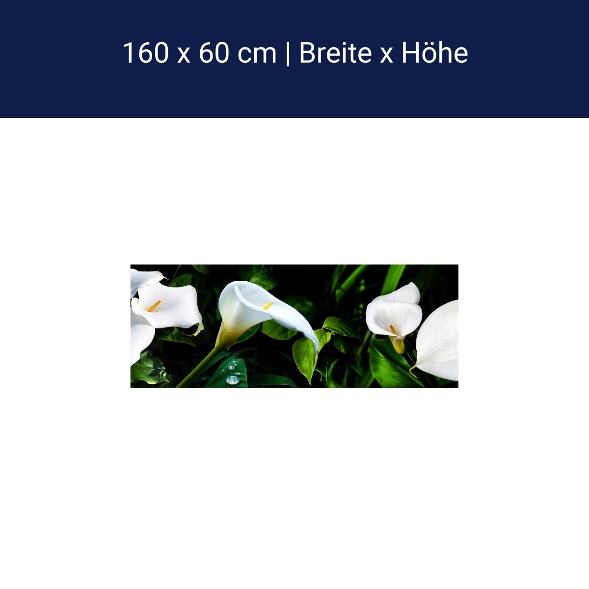 Küchenrückwand calla bartfaden weiß blätter stiel M1381