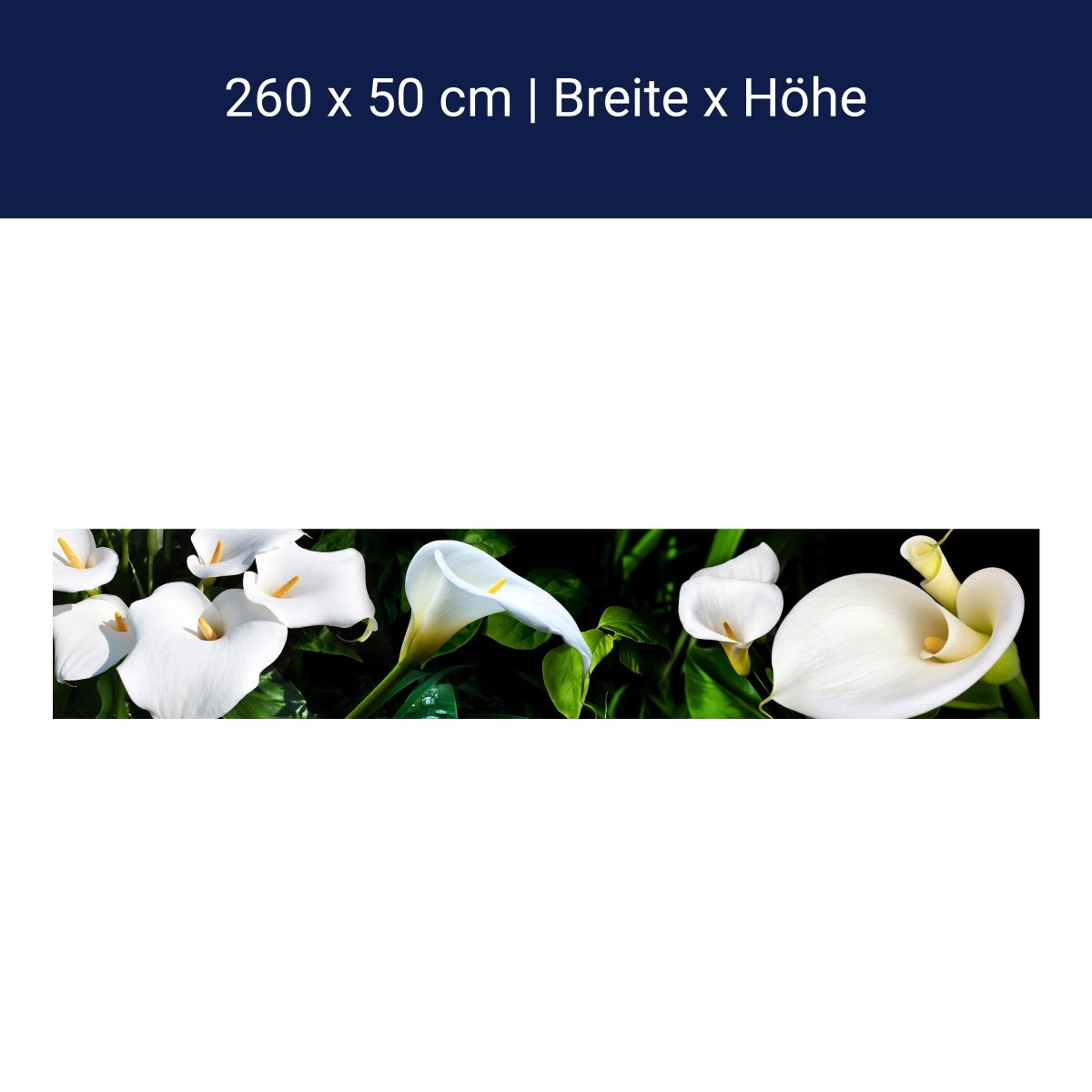 Küchenrückwand calla bartfaden weiß blätter stiel M1381