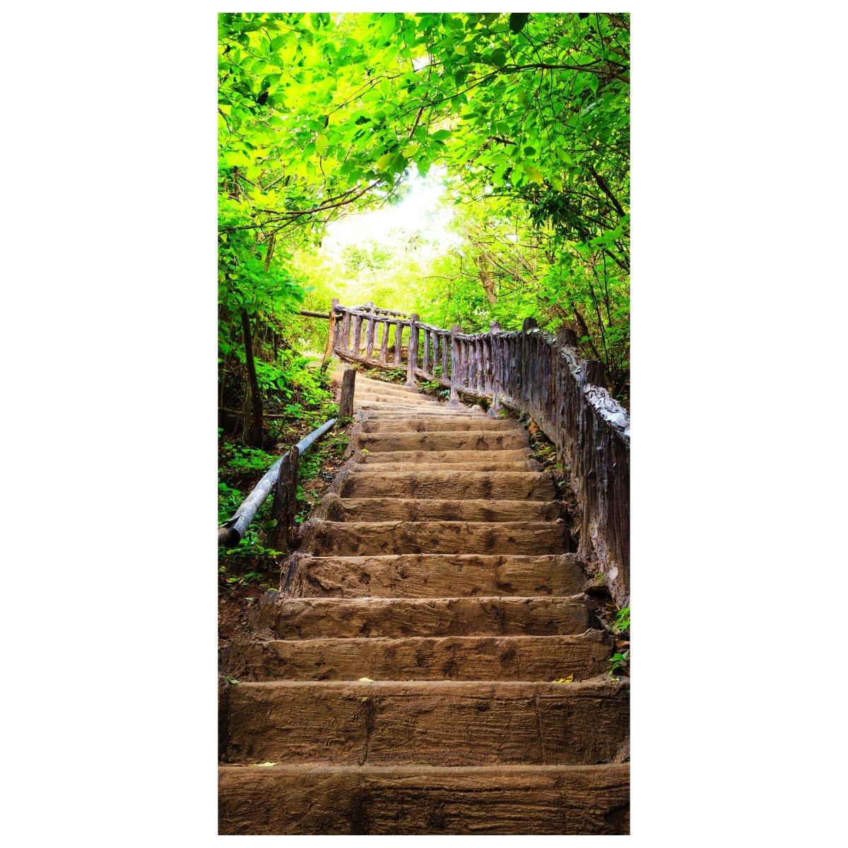 Türtapete Treppe im Wald, Steintreppe, Holz, Bäume M1387 - Bild 2