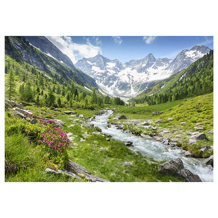 Fototapete Berge Alpen Wiese Bach M6751 - Bild 2