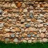 Fototapete Steinmauer mit Gras M0015