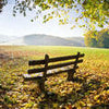 Wall mural park bench in autumn M0415