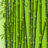 Bamboo branches mural M0461