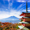 Fototapete Mount Fuji-Chureito Pagoda M0552