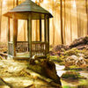 Wall mural gazebo in the forest M0563