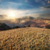 Wall mural Landscape meadow in the mountains M0691