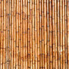 Wall mural bamboo wood nature M0721