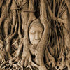 Fototapete Baum Wurzel Statue 1 M0782