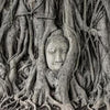 Wall mural tree root statue 2 M0783