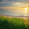 Wall Mural Sunset on the Coast M0913