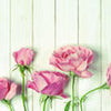 Wall Mural Rose Flower Garden M1021