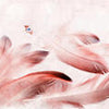Wall Mural Red Feathers Butterfly M1146