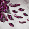 Peinture murale Plume de paon rose M1151