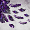 Papier peint Plume de paon violet M1152