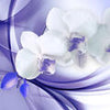 Wall mural purple orchid M1168