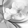 Wall mural gray orchid M1169