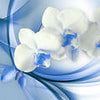 Wall mural blue orchid M1171