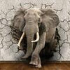 Fototapete Elefant 3D Wanddurchbruch M1238