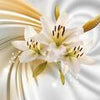 Wall Mural Lilies Flowers Yellow M1260