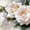 Papier peint vintage roses blanches M1307