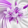 Wall mural Violet lily flowers M1322