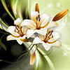 Wall Mural Lilies Abstract Green M1334