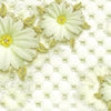 Wall mural flowers yellow M1358