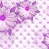 Poster XXL fleurs violettes M1362