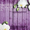 Wall Mural Pink wood white orchid M1571