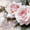 Wall mural roses pink rose M1776