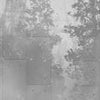 Fototapete Betonplatten Wald Grau M1808