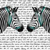 Fototapete Schwarz Türkise Zebras M1856