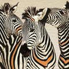 Wall Mural Zebras Vintage M1857