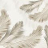 Wall Mural Feathers M1859