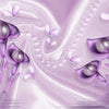 Fototapete violett Tulpen M3452