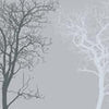 Poster XXL arbre forêt grise M3604
