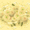 Fototapete Gelb Blumen M3713