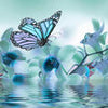 Wall Mural Turquoise Orchid M3741