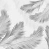 Wall mural feathers gray M3805